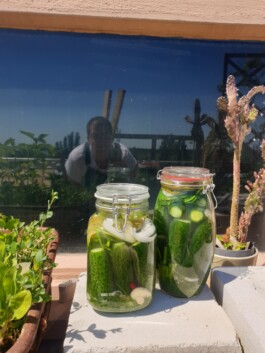 Failure Futures Fabrications