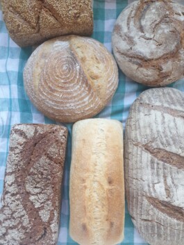 Failure Futures Fabrications