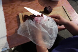 Failure Futures Fabrications