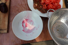 Failure Futures Fabrications