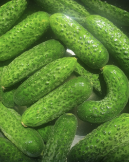 Failure Futures Fabrications