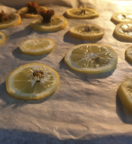 Failure Futures Fabrications