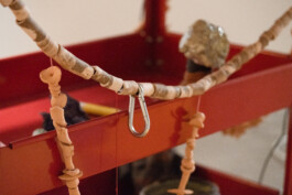 Failure Futures Fabrications