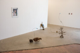 Failure Futures Fabrications