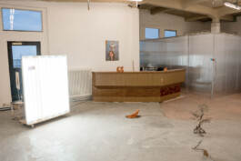 Failure Futures Fabrications