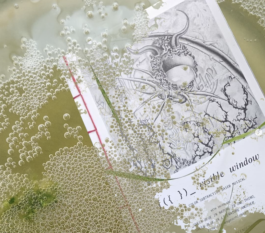 Failure Futures Fabrications