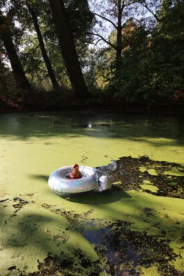 Failure Futures Fabrications