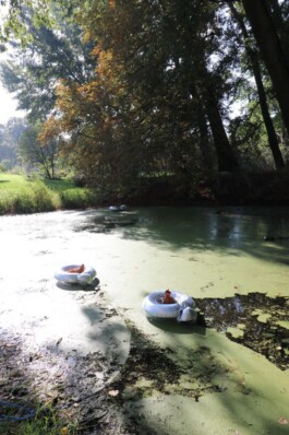 Failure Futures Fabrications