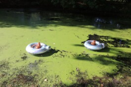 Failure Futures Fabrications