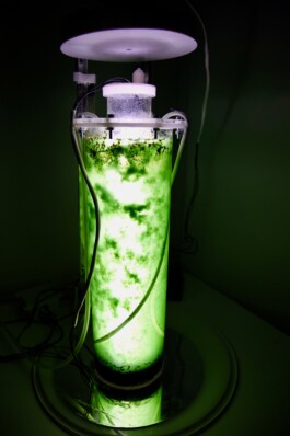 Failure Futures Fabrications